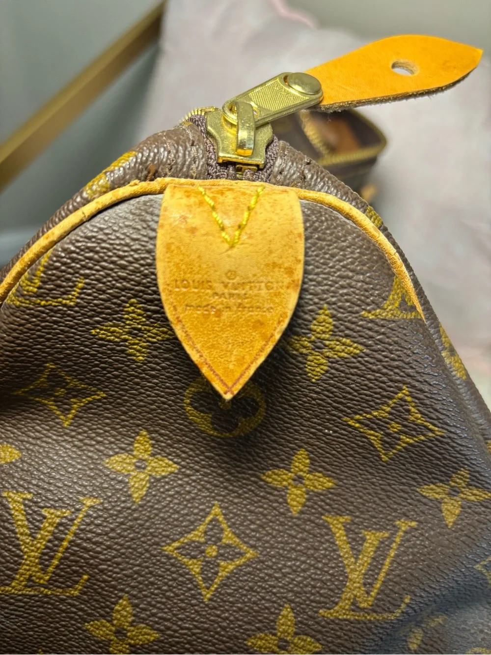 Louis Vuitton Monogram Canvas Speedy Handbag - Brown/Tan